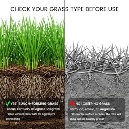Thatch Rake Replacement Head, 2-in-1 Dual-Sided Dethatching Rake Head for Lawns, Heavy Duty Anti-Bending Tines, Wobble-Free Turf Grass Remover Tool - size: 13.8inch