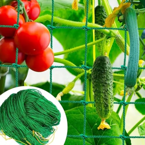 Garden Trellis Netting Plant Support Mesh Heavy Duty Climbing Lattice Square Grid Screen for Vine Vegetable Cucumber (Green) - color: Green