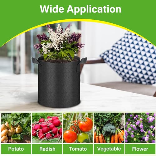 HealSmart 6-Pack 2 Gallon Grow Bags, Nonwoven Aeration Fabric Pots with Handles, Cloth Plant Pots, Suitable for Garden Fruits, Vegetables, Tomato and Flowers, Black - color: Black 6 Pack, size: 2 Gallon