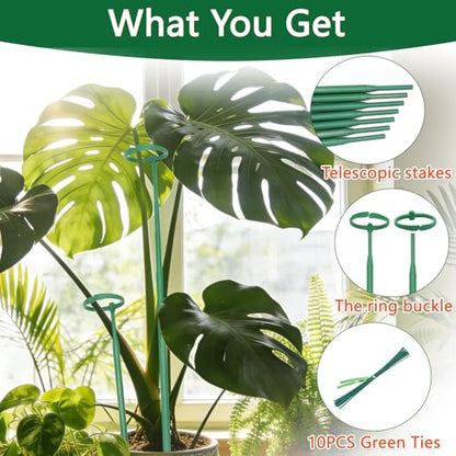Telescoping Monstera Plant Stakes, 12.5-48.4IN Indoor Plant Support- 5Pack - size: 5pcs