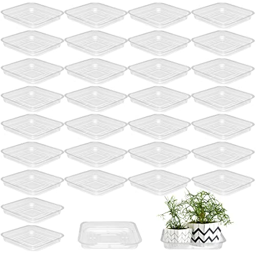 30 Pack Plant Saucers for Indoors 8 Inches Plant Trays for Pots Plastic Trays for Plants Square Plant Drip Trays for Potted Plants Flower Pot Saucers Clear Plant Plates to Catch Water, Bulk - size: 8 Inches