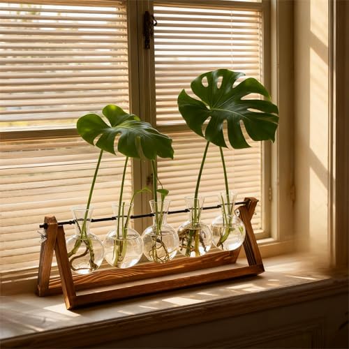 Renmxj Plant Propagation Stations with Wooden Stand & 5 Glass Bulb Vases - size: 5 Bulb Vase
