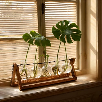 Renmxj Plant Propagation Stations with Wooden Stand & 5 Glass Bulb Vases - size: 5 Bulb Vase