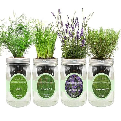 Rosemary, Lavender, Dill & Chives Mason Jar Herb Garden Kit, Aromatic Savory Herb Collection, 4 Pack Indoor Hydroponic Growing Kit - color: Rosemary+Lavender+Dill+Chives