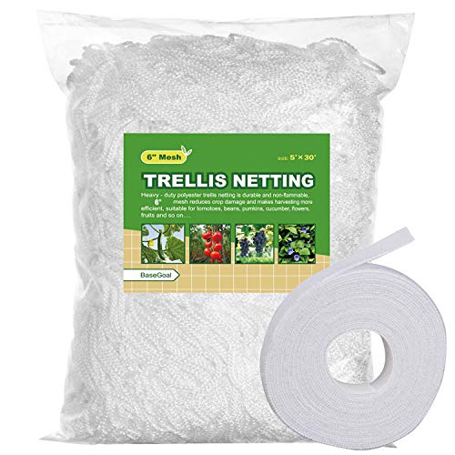 BaseGoal 6in Mesh Trellis Netting, 5x30ft, 1 Pack - size: 6" Mesh (5'X30')