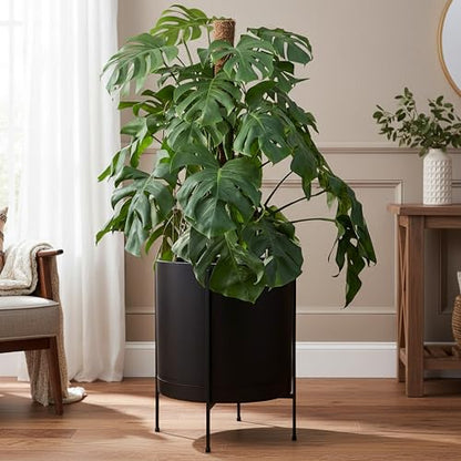 D'vine Dev Plastic Planter Pot with Metal Stand, Black, 16 in, 55-D-B-5 - color: Black, size: 16 Inch
