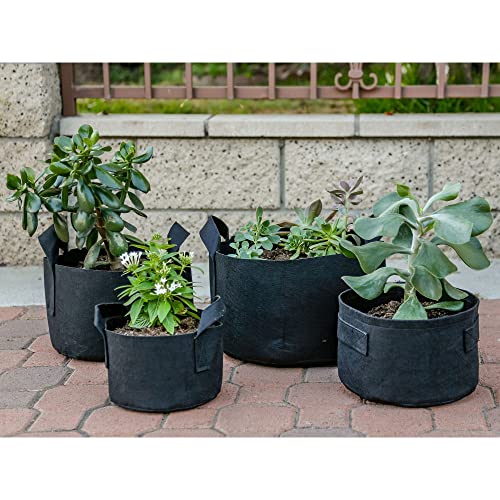 247Garden 5-Pack 1-Gallon Aeration Fabric Pot/Plant Grow Bag w/Handles (260 GSM, Black, 6H x 7D) - color: Black, size: 1 Gallon