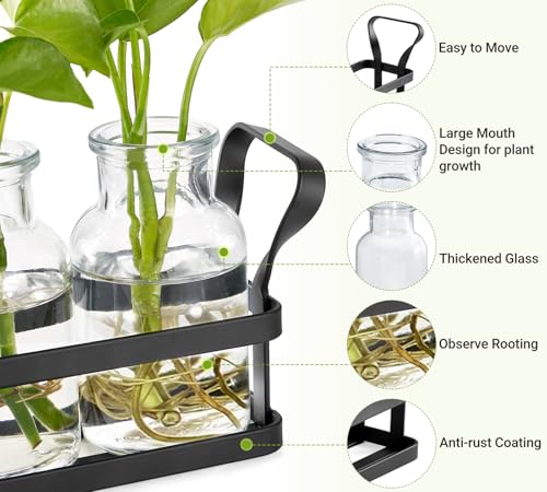 Mkono Propagation Stations, 5 Jars Desktop Glass Plant Terrarium with Stand - size: Large