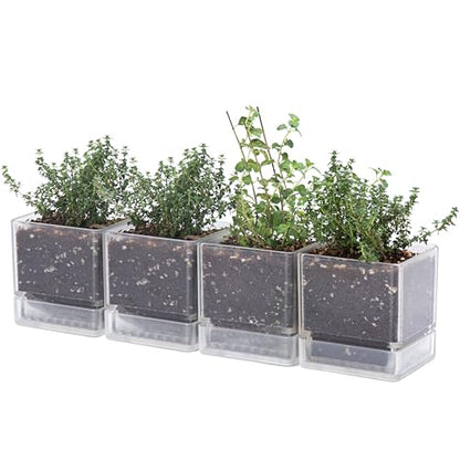 D'vine Dev 4-Pack Acrylic Herb Planter Pots, 4 in, Clear, 76-Y-D-1 - color: Clear, size: 16 Inch x 4.5 Inch