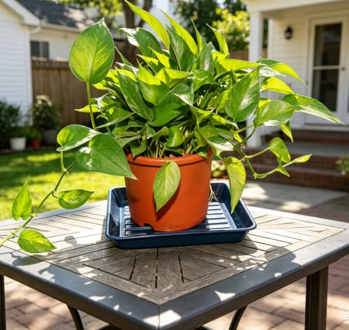 2 Packs Square Plant Saucer Pot Tray, 10 inch Blue Flower Planter Saucers and Drip Trays - color: Blue, size: 10" - 2 Pack