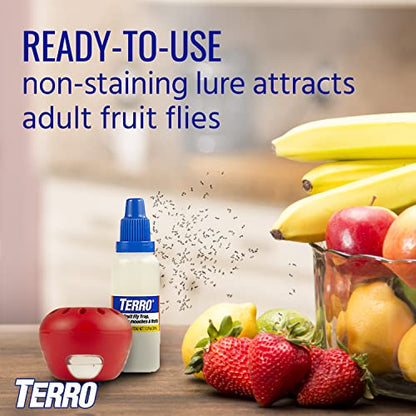 Terro Fruit Fly Traps for Indoors (12 Pack) + 540 Days of Lure Supply - size: 12 Traps