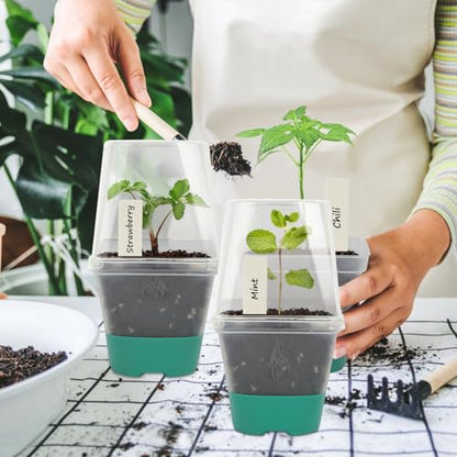 Sankoly 30 Packs Clear Nursery Pots with Plant Labels 3 Inch Plastic Plant Pot with Humidity Domes Silicone Base and Drainage Holes Reusable Seedling Pots