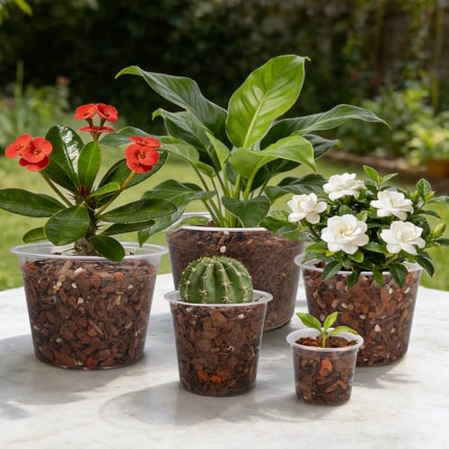 OUPSAUI 35 Pack 4/6/8/10/12 Inch Clear Nursery Pots with Drainage Hole, Clear Large Plastic Pots for Plants, Transparent Variety Seedling Planter for Vegetable Flowers Fruits - size: 35PCS-4+6+8+10+12