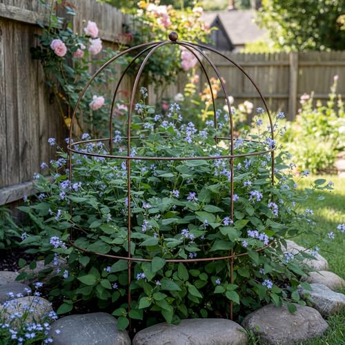 2 pcs 20-1/4" x 26" H Bronze Bird Cage Plant Support Heavy Duty Metal Bird Cage Plant Support Large Outdoor Garden Trellis for Peonies, Baptisia, Sedum & Other Perennials - size: 26 "X 20.25"