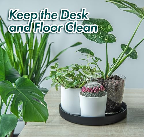 Phoenix Vine 12 Inch Plastic Plant Saucer Water Drip Tray, Heavy Sturdy Round Plant Drainage Tray for Indoors Outdoor, Set of 2, Matte Black, 21-TY-12B-2 - size: 12"