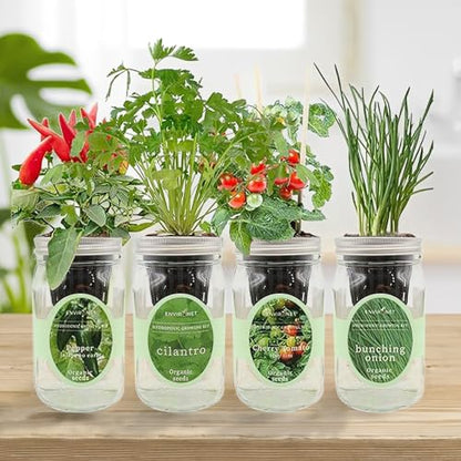 Hydroponic Mason Jar Indoor Garden Organic Seed Starter Kits - Zesty Salsa Growing Kits, Gardening Gift (Jalapeno Pepper, Cilantro, Cherry Tomato - Tiny Tim, Bunching Onion) - color: Zesty Salsa Growing Kits