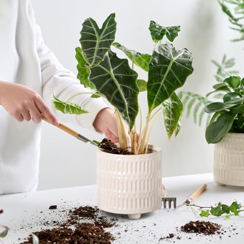 STHIE 5 Inch Ceramic Planters for Indoor Plants, White Snake Plant Pots - color: Reactive Glaze White