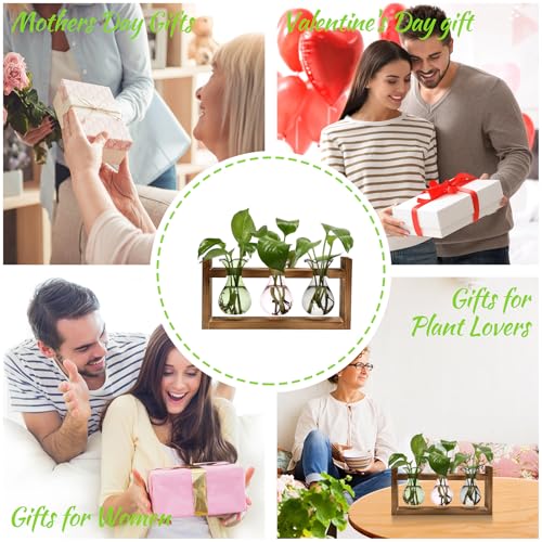 Plant Propagation Station Plant Terrarium Unique Birthday Gifts for Women - color: Color02