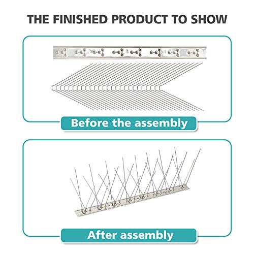 KKY Bird Spikes Stainless Steel Base, Metal Bird Repellent Nail Fence Kit, Can Be Used to Stop Pigeons and Other Small Birds, Covering 43.2 Feet 40 Packs. - size: 43.2 Feet
