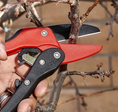 Corona Tools Ratchet Hand Pruner – 3/4-Inch Cut Capacity Garden Pruning Shears for Stems & Branches, Heavy-Duty Ratcheting Hand Pruners with Comfortable Grip