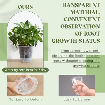 Wonderjune Self Watering Planter, 4.72'', 5.91'', 7.09'', Clear, 6 Pcs - color: Clear, size: 4.72'', 5.91'', 7.09''