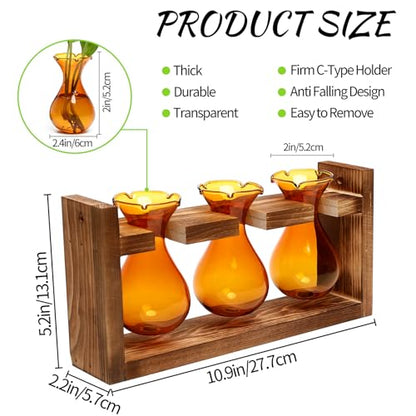 Plant Propagation Station Plant Terrarium Unique Birthday Gifts for Women - color: Amber