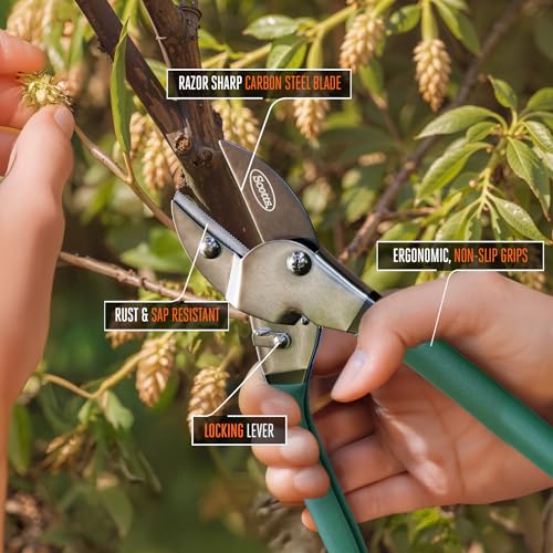 Scotts 2-Piece Pruning Shears Set – Includes 8 in. Bypass Pruner for Live Plants and 8 in. Anvil Pruner for Dry Stems – Sharp Carbon Steel Blades and Comfort Grip Handles for Garden and Yard Use - style: Anvil & Bypass Pruning Kit