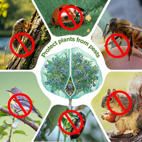 KEOHOLI 12FTx12FT Green Large Fruit Tree Netting Reusable Durable Mesh Cover with Zipper and Drawstring for Fruit Tree Protection Cover from Birds Cicadas Squirrels and Insects - size: 12*12ft (1Pack, Green)