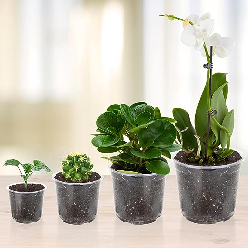 OUPSAUI 36 Pack 7/6/5/3.5 Inch Clear Nursery Pots with Drainage, Clear Pots for Plants, Flexible Plastic Seed Starting Pot