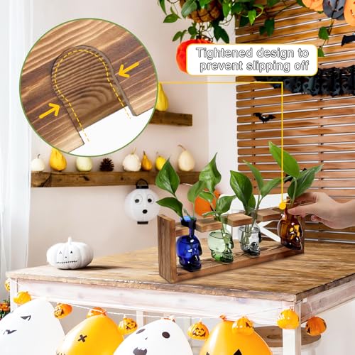Plant Propagation Stations Halloween Skull Plant Terrarium Kit - color: Color011