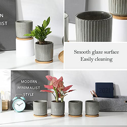 4 in Cylinder Ceramic Plant Pots with Trays, Green Grey, Set of 4 - color: Green-grey(4inch)