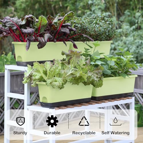Window Box Planter 4 Packs, 17 Inches Rectangle Flower Pots with Drainage Holes & Trays, Pots for Vegetables, Herbs, Flowers, Garden Windowsill Balcony (Light Green, 17 * 5.1 * 6 inch) - color: Light Green