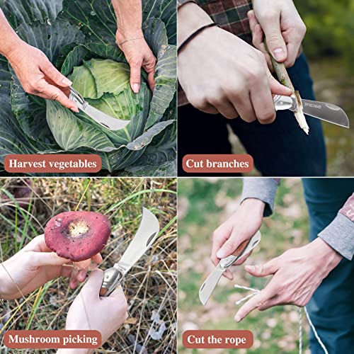 Bigger Double Blade Multi-Purpose Folding Garden Knife with Curved Hawkbill Blade – Perfect for Gardening, Camping & Gifts