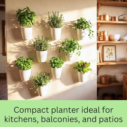 LaLaGreen Wall Planter for Indoor Plants (5in, 10 Pack) White Self-Watering - size: 5" (12.5 cm)