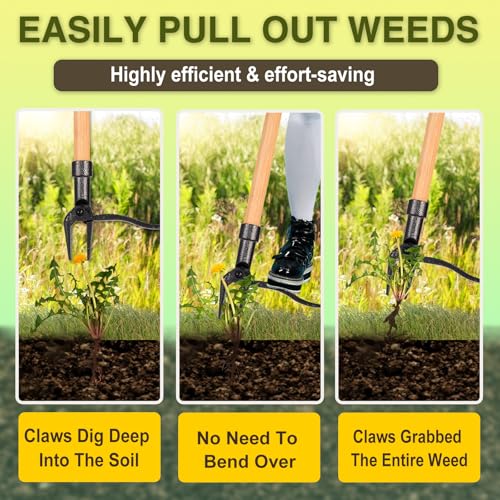Weed Puller Stand Up Weed Puller Tool with Wooden Long Handle Foot Platform Design 4-Claw Steel Head & Removable 3-Section Pole Garden Tools-Easily Remove Weeds Without Bending or Kneeling