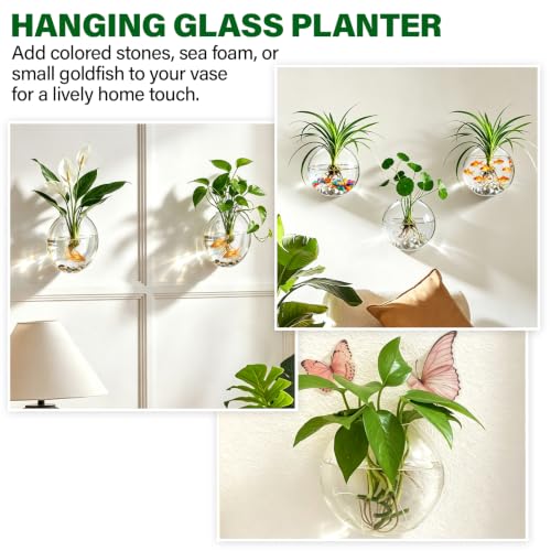 Window Propagation Stations, Wall Hanging Planters for Hydroponics