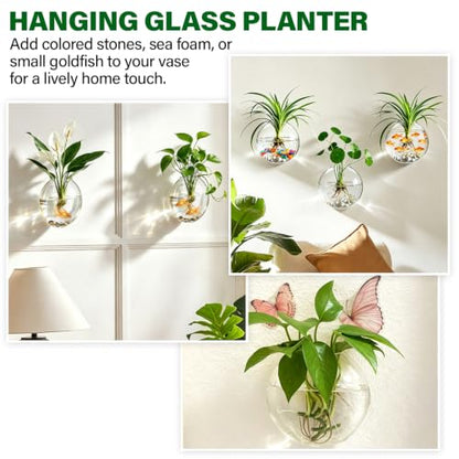Window Propagation Stations, Wall Hanging Planters for Hydroponics