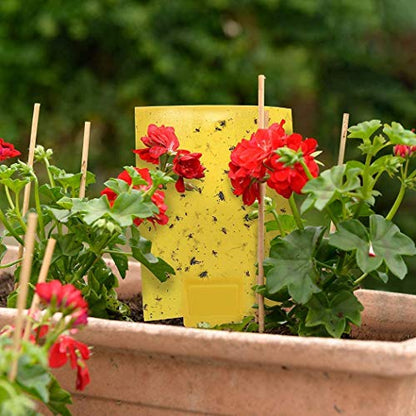 Gideal 50-Pack Dual-Sided Yellow Sticky Traps for Flying Plant Insect Fungus Gnats Whiteflies Aphids Leafminers Thrips (6x8 Inches, Included 50pcs Twist Ties) - size: 50 Pack