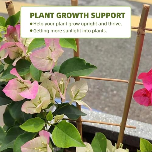 Bamboo Trellis for Climbing Plants 20 Pack, 16 Inch Garden Ladder Trellis for Potted Plants Indoor, Small Plant Support Trellis for Houseplants Vine - color: Fan-Shaped, size: 20 PACK-16 inches