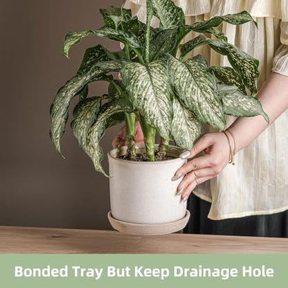 5.8 Inch Ceramic Planter with Drainage Hole & Bonded Saucer - color: Retro Style, Grey, size: 6 inch