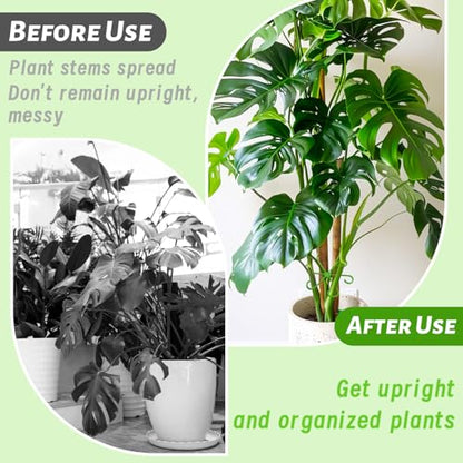 4Pcs Plant Stem Supports,Climbing Houseplant Stakes Holders Reusable Trellis Hook for Indoor Outdoor Plants Flowers Growth,4 Sizes