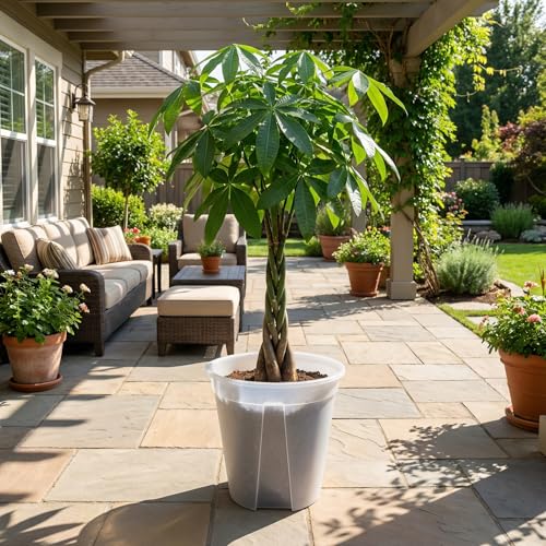 Large Clear Nursery Pot with Drainage Holes 7/8/10/12 inch,12pack - size: 7/8/9.5/12inch without trays