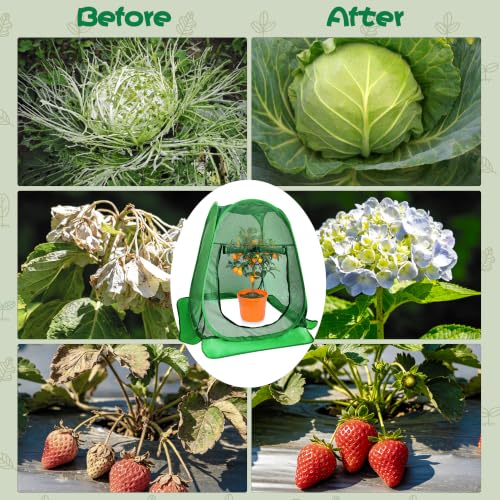 Pop Up Plant Netting Cover 28×28×32” Shade Mesh with Zipper Door Shade Top - size: 70*70*80 1PCS