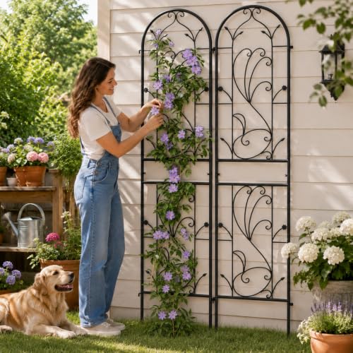 2-Pack 87" x 20" Sunflower Scroll Arch Black Metal Garden Trellises - color: 2 Pack 87"- Sunflower Black