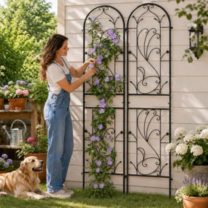 2-Pack 87" x 20" Sunflower Scroll Arch Black Metal Garden Trellises - color: 2 Pack 87"- Sunflower Black