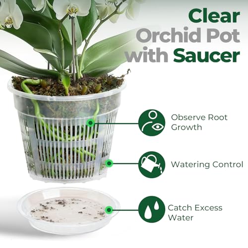 T4U Clear Orchid Pots 6.3 Inch 6 Pack, Orchid Pot with Holes Repotting - size: 6.3 Inch, 6 Pack