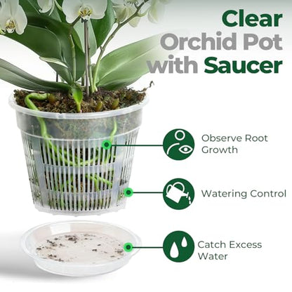 T4U Clear Orchid Pots 6.3 Inch 6 Pack, Orchid Pot with Holes Repotting - size: 6.3 Inch, 6 Pack