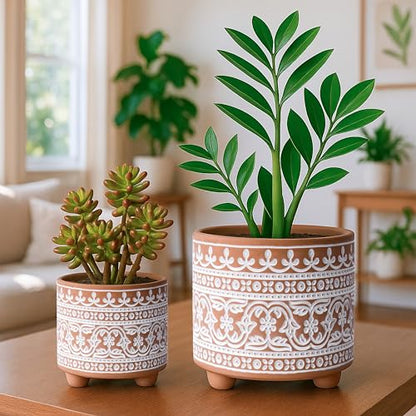 D'vine Dev 2-Pack Terracotta Pots, 4/6 in, Terracotta Bloom, 31-953-F-1 - style: Terracotta Bloom