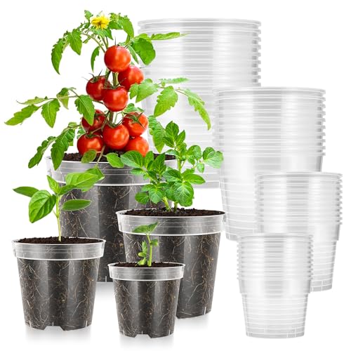VIVOSUN 40 Packs 3/4/5/6 Inch Clear Nursery Pots with Drainage Holes - size: 3/4/5/6 Inch