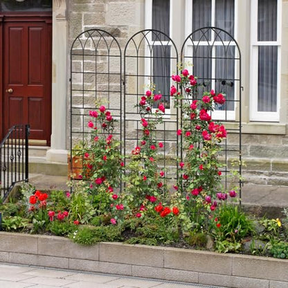 DoCred 4 Pack Garden Trellis for Climbing Plants, 71 Inch Metal Trellis - color: Black, size: 71''H x 20''W/4 Pack